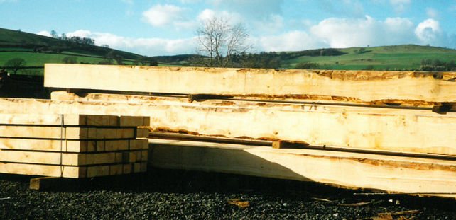 natural oak for the construction of our fine timber buildings
